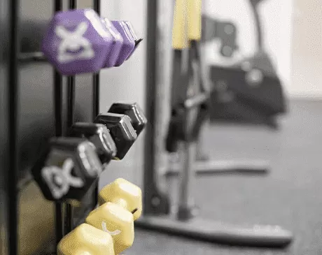 mile-high-pt-pine-brook-nj-16